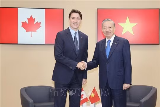 Tổng Bí thư, Chủ tịch nước Tô Lâm gặp các Thủ tướng Canada và Bỉ