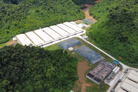 Công ty Dabaco Thanh Hoá bị đề nghị xử phạt hơn 200 triệu đồng