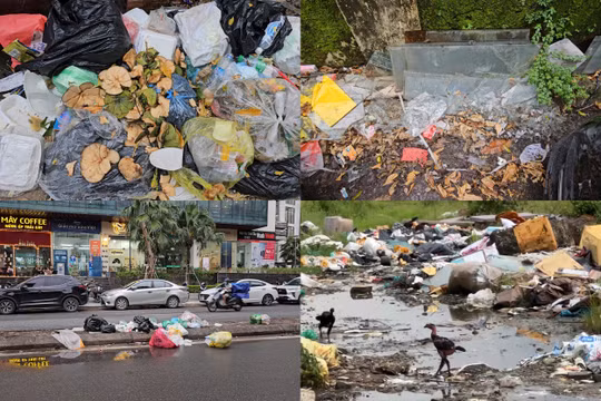 Hà Nội: Bãi tập kết rác thải tự phát gây mất mỹ quan đô thị