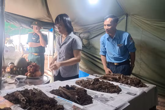 Vụ phát hiện nhiều hài cốt khi đào móng nhà ở Gia Lai: Xác định hơn 30 bộ hài cốt liệt sỹ