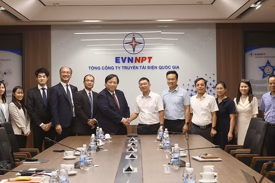 EVNNPT làm việc với JBIC (Nhật Bản) về khả năng hợp tác trong lĩnh vực tài chính