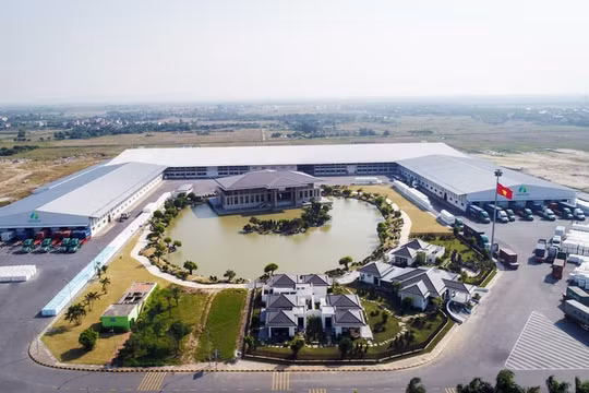 100 đồng doanh thu chỉ mang về 1 đồng lãi, ông lớn ngành nhựa An Phát Holdings vừa thay chủ tịch