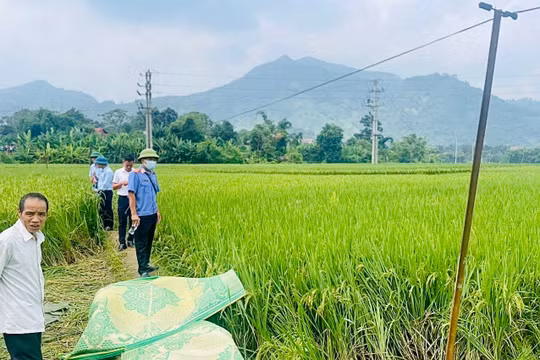 Lào Cai: Khởi tố đối tượng bất cẩn làm 2 phụ nữ bị điện giật tử vong