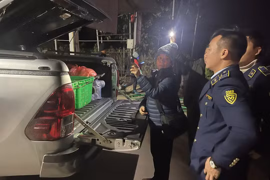 Hưng Yên: Xử phạt 2 đối tượng chở 170kg thịt bò bốc mùi hôi thối đang trên đường tiêu thụ
