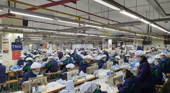 Đầu tư và Thương mại TNG Quý 3 khởi sắc, vẫn phải vay 400 tỷ trái phiếu để trả lương nhân viên