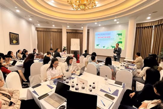 Kết nối nhà báo, nhà nghiên cứu và cộng đồng nhằm tăng hiệu quả truyền thông về an toàn thực phẩm