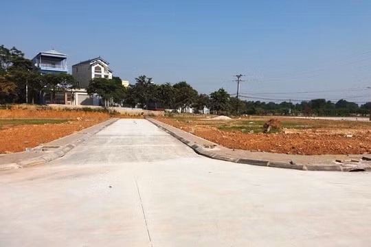 Những kẽ hở của các phiên đấu giá đất: Cần mạnh tay hơn nữa để răn đe!