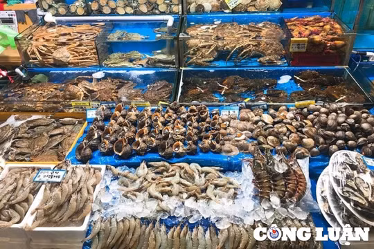 Thanh Hoá: Dịp lễ 30/4 - 1/5, giá hải sản tăng chóng mặt