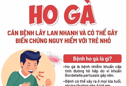 Vì sao bệnh ho gà ở Hà Nội chiếm gần 50% số ca bệnh cả nước?