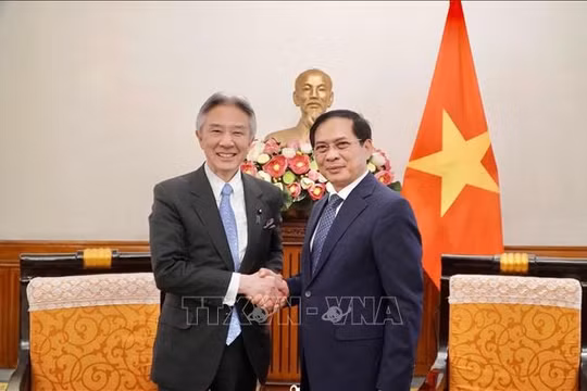 Thúc đẩy hợp tác văn hóa, giáo dục, khoa học công nghệ giữa Việt Nam - Nhật Bản