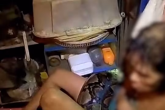 Người phụ nữ Thái Lan được giải thoát sau nhiều giờ bị trăn siết