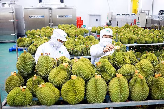 Giá cà phê, gạo, sầu riêng tăng vọt đầu năm