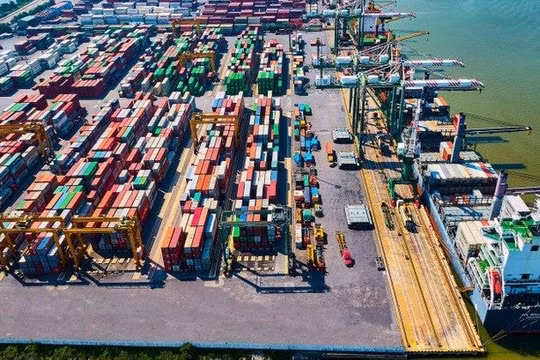 Sau thương vụ thâu tóm Nam Hải Đình Vũ, Viconship (VSC) phát hành 20 triệu cổ phiếu trả cổ tức