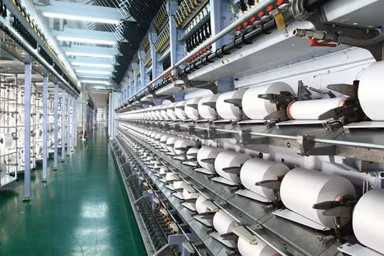 Sợi Thế Kỷ (STK) báo lỗ kỷ lục, cổ phiếu mất thanh khoản 'trắng bên mua'