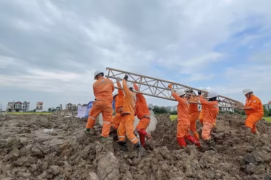 EVNHANOI huy động gần 200 nhân lực cùng tiếp sức cho dự án đường dây 500kV mạch 3