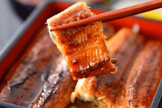 Hàng trăm người ngộ độc vì ăn đặc sản lươn nướng Nhật Bản
