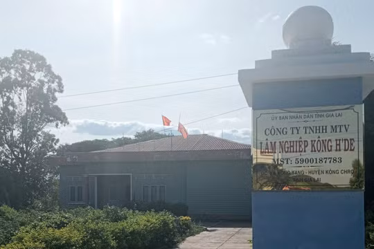 Gia Lai: Khởi tố kế toán trưởng một công ty lâm nghiệp vì chiếm đoạt tiền của cơ quan để tiêu xài