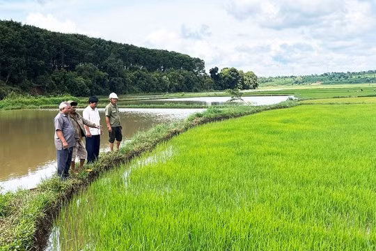 Nam Định: Tăng cường các biện pháp phòng, chống nắng nóng, hạn hán, thiếu nước, xâm nhập mặn