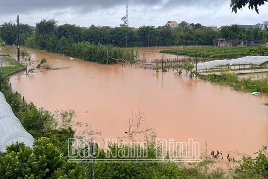 Nam Định: Lên phương án di dân tại các khu vực nguy hiểm về nơi tránh trú an toàn