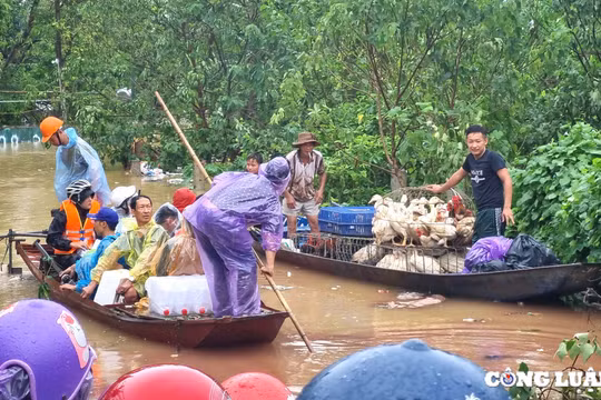 Hà Nội: Nước sông Hồng dâng nhanh, nhiều nơi ngập trong 'biển nước'
