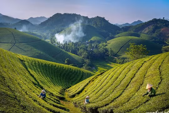 Du khách về Phú Thọ tăng mạnh vào dịp nghỉ lễ Quốc khánh 2/9