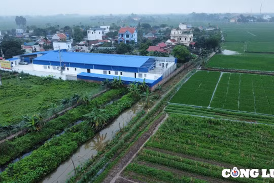 Thái Thụy (Thái Bình): Phát hiện doanh nghiệp xây dựng nhà xưởng hàng nghìn m2 trên đất nông nghiệp