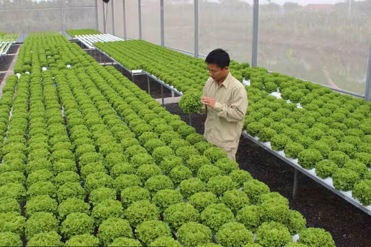 Việt Nam có tên trong top 10 các nước thu hút đầu tư xanh