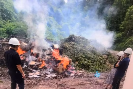 Lào Cai: Giáp Tết Trung thu tiêu hủy gần 400kg kẹo hình đồ chơi không đảm bảo an toàn thực phẩm