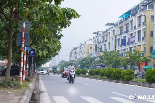 Huyện Thanh Trì (TP Hà Nội) đạt chuẩn nông thôn mới nâng cao
