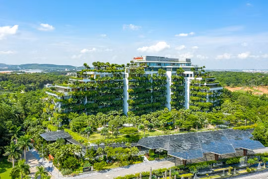 Việt Nam đang thiếu “kiến trúc sư” tạo nền móng cho tăng trưởng xanh