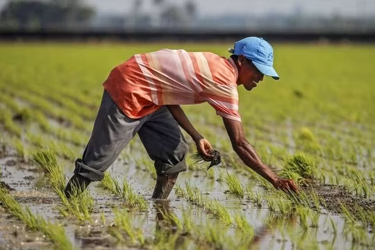 El Nino suy yếu, La Nina có thể xuất hiện vào nửa cuối năm 2024