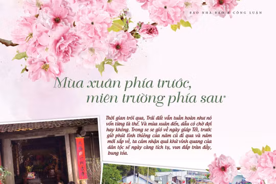Mùa xuân phía trước, miên trường phía sau*