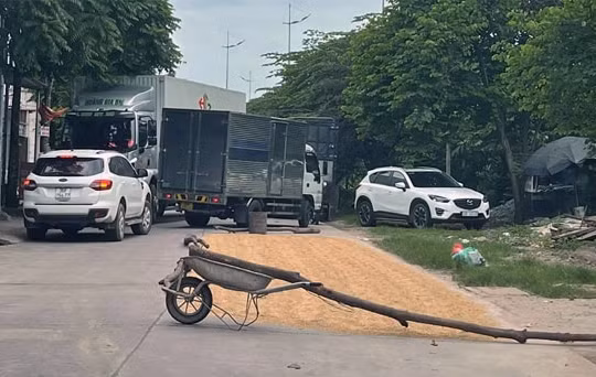 Nam Định: Sẽ chuyển hồ sơ sang cơ quan Công an nếu phơi thóc, đốt rơm rạ trên đường gây hậu quả nghiêm trọng