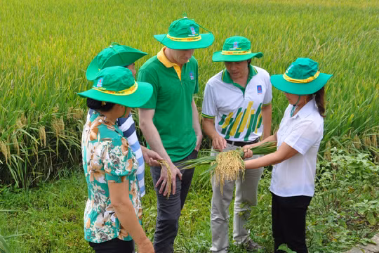 Đã đến lúc không thể không sửa đổi Luật 71
