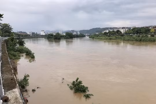 Lào Cai: Nước lũ sông Hồng lên cao xấp xỉ báo động 1, lớn nhất từ đầu mùa mưa 2024 tới nay