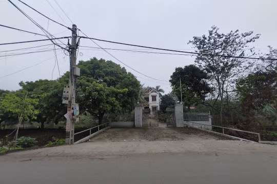 Hưng Yên: Hàng nghìn m2 đất công bị “xẻ thịt” chia lô trái phép!