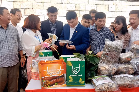 Trưng bày gần 400 sản phẩm OCOP tại Tuần Văn hóa và Du lịch tỉnh Bắc Giang 2024