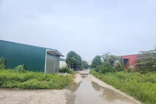 Bắc Ninh có 45.018 thửa đất ở được giao không đúng thẩm quyền