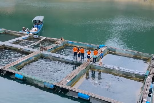 Agribank đồng hành cùng doanh nghiệp nâng cao năng lực cạnh tranh trong xuất khẩu lâm - thủy sản