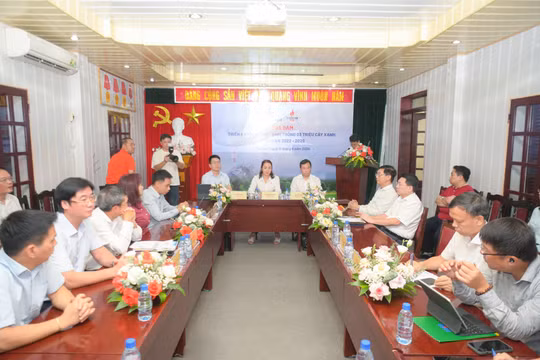 Petrovietnam: Trồng cây xanh là giải pháp quan trọng trong chuyển dịch năng lượng