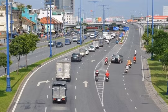 TP.HCM: Di dời 236 cây xanh để mở rộng đại lộ Võ Văn Kiệt