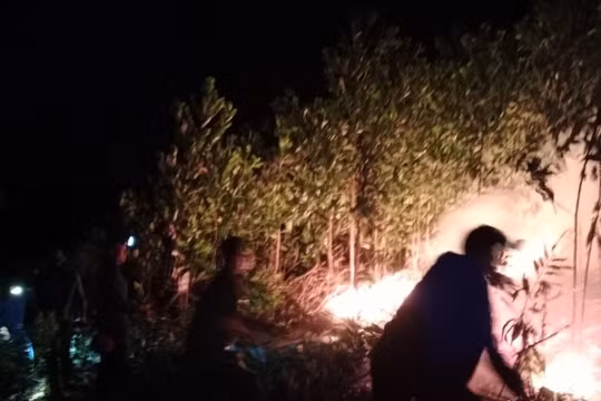Cháy rừng trong đêm, hàng trăm người nỗ lực dập lửa ở Hà Tĩnh