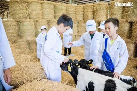Các tài năng nhí bất ngờ với robot tại trang trại Vinamilk Green Farm và siêu nhà máy Vinamilk