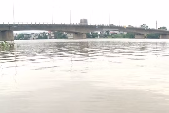 Hà Nam phát tin báo động II trên sông Đáy và chủ động ứng phó với lũ