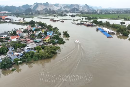 Hà Nam phát tin báo động 3 trên sông Đáy, sẵn sàng triển khai phương án hộ đê