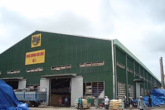 Phân bón Bình Điền (BFC) kinh doanh khởi sắc, nợ phải trả vẫn áp đảo vốn chủ