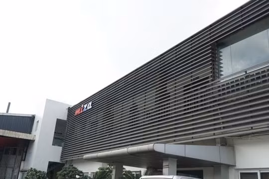 Vạn Đạt Group (VDG) cổ phiếu tăng gấp 3 sau khi lên sàn nay quay đầu giảm mạnh