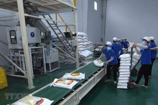 Thua lỗ 30 tỷ trong 9 tháng đầu năm, Trung An (TAR) phải giải thể 2 công ty con
