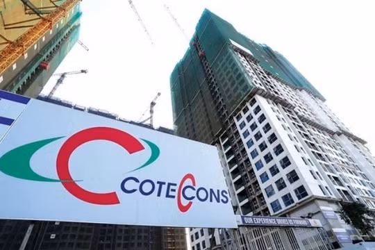 Nợ vay tăng vọt 50% chỉ trong 3 tháng, Coteccons (CTD) vẫn chi cổ tức tiền mặt lần đầu sau 3 năm 'im ắng'