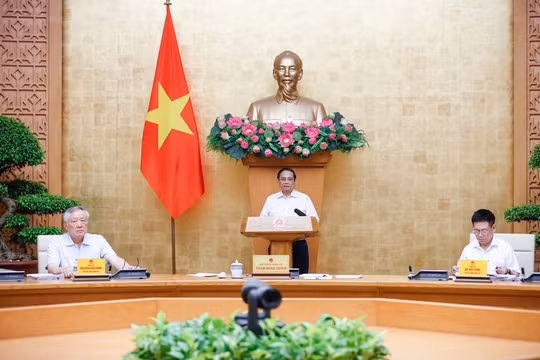 Có chính sách phù hợp, hiệu quả để đào tạo, bồi dưỡng đội ngũ nhân lực chất lượng cao trong 3 dự án luật